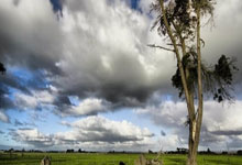 巴利亚多利德vs西班牙人实时比分是多少？这场比赛有哪些关键看点？